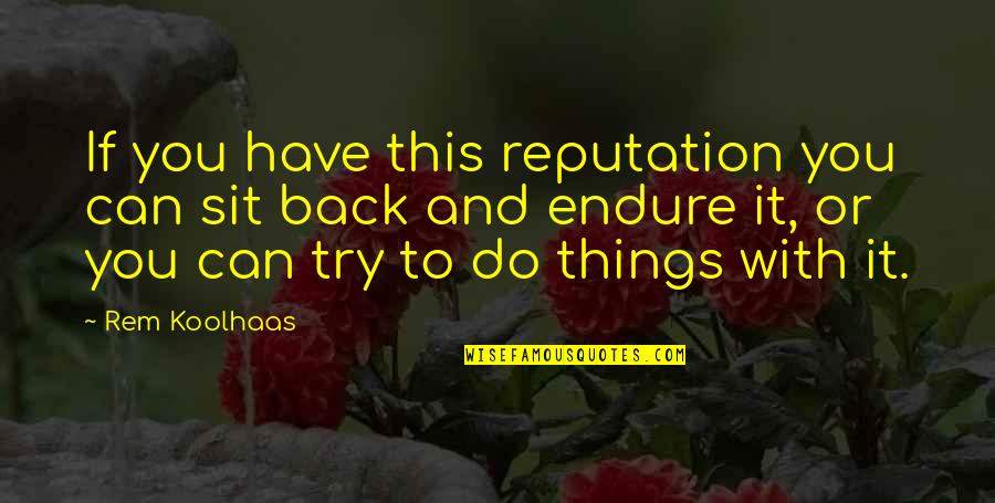 Sit Back Quotes By Rem Koolhaas: If you have this reputation you can sit Sit Back Quotes By Rem Koolhaas: If you have this reputation you can sit