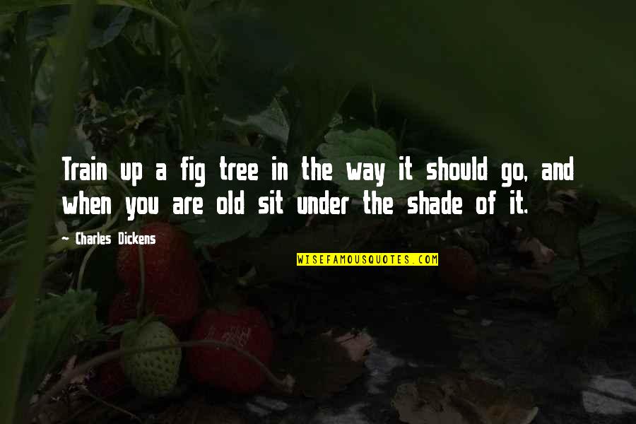 Sit Up Quotes By Charles Dickens: Train up a fig tree in the way