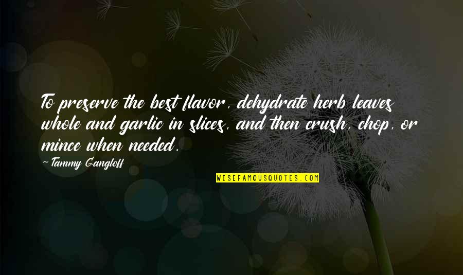 Site For Penny Stock Quotes By Tammy Gangloff: To preserve the best flavor, dehydrate herb leaves Site For Penny Stock Quotes By Tammy Gangloff: To preserve the best flavor, dehydrate herb leaves