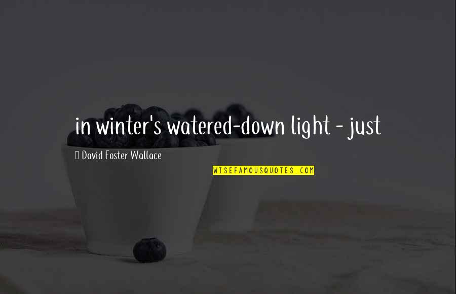 Sitek Process Quotes By David Foster Wallace: in winter's watered-down light - just