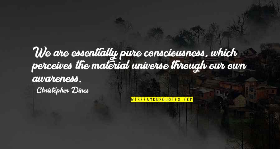 Sitekey Quotes By Christopher Dines: We are essentially pure consciousness, which perceives the Sitekey Quotes By Christopher Dines: We are essentially pure consciousness, which perceives the