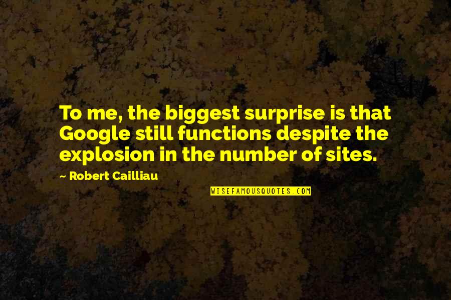 Sites For Quotes By Robert Cailliau: To me, the biggest surprise is that Google