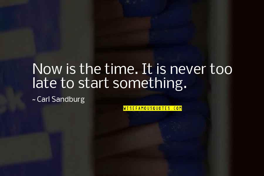 Sitnije Cile Quotes By Carl Sandburg: Now is the time. It is never too Sitnije Cile Quotes By Carl Sandburg: Now is the time. It is never too