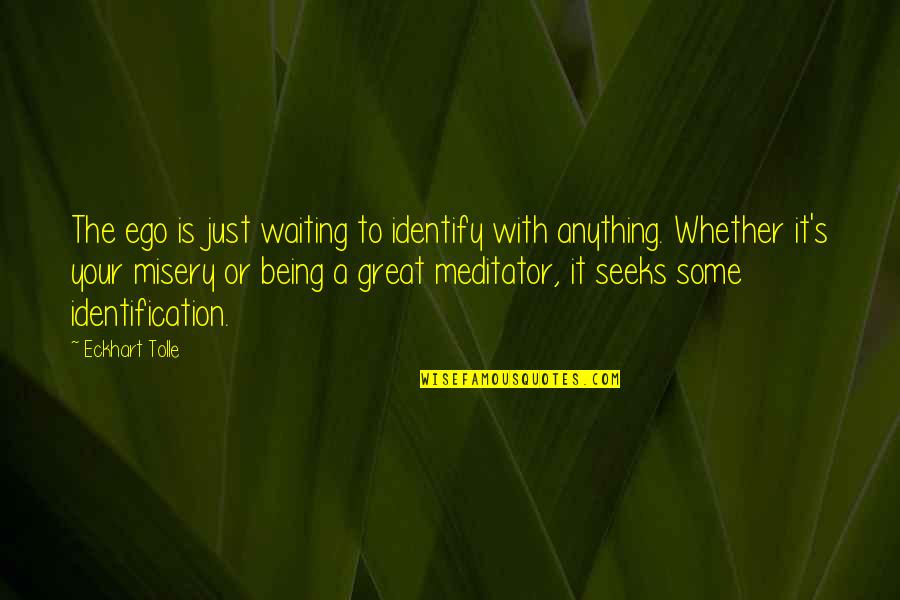 Sitomer Charles Quotes By Eckhart Tolle: The ego is just waiting to identify with