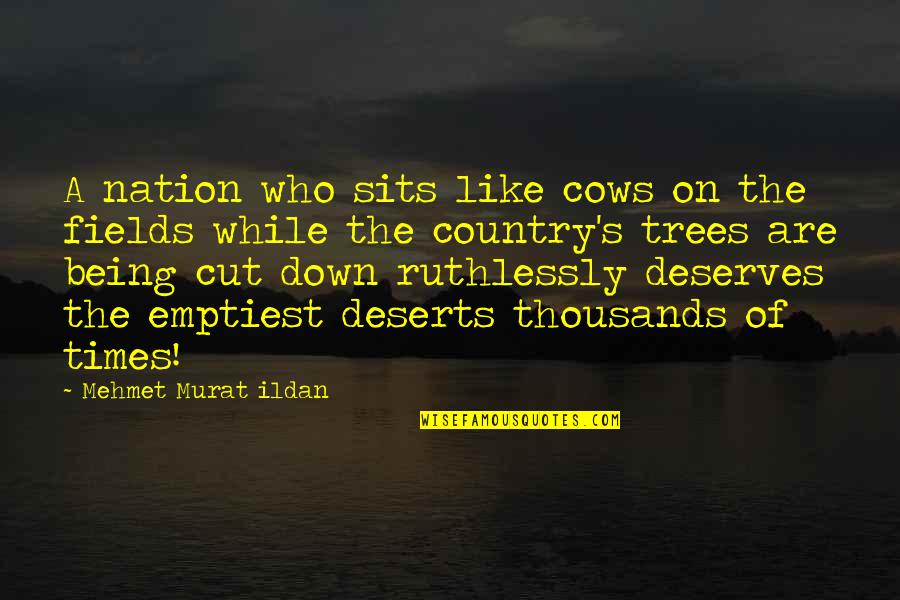 Sits Quotes By Mehmet Murat Ildan: A nation who sits like cows on the