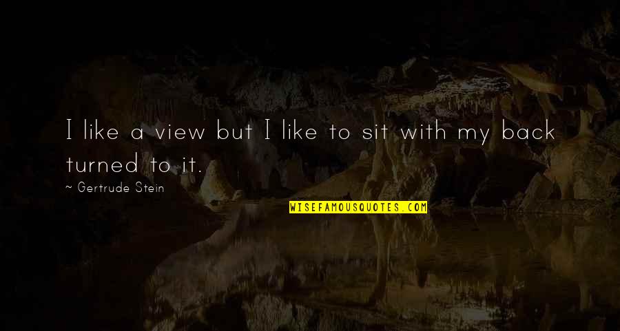 Sit'st Quotes By Gertrude Stein: I like a view but I like to