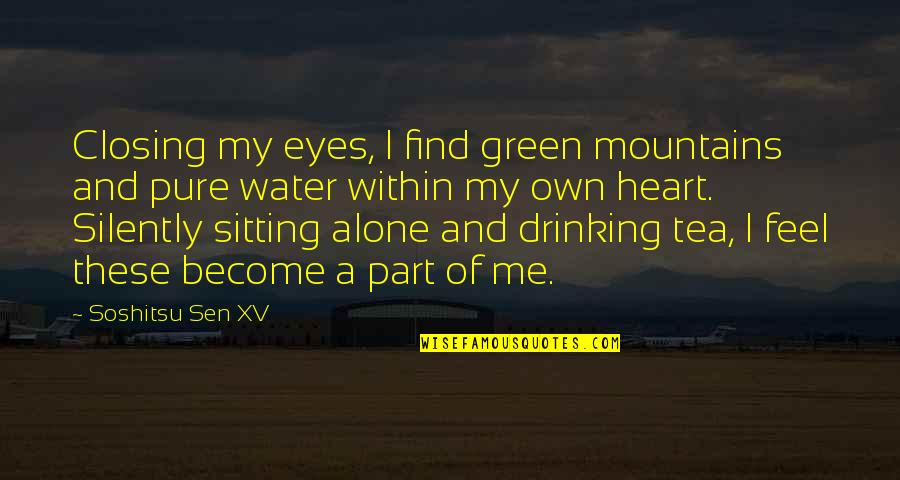 Sitting Alone Quotes By Soshitsu Sen XV: Closing my eyes, I find green mountains and