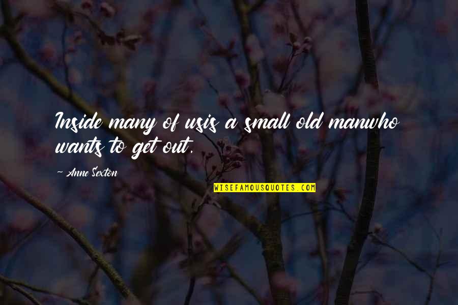 Sitting Alone Sad Quotes By Anne Sexton: Inside many of usis a small old manwho