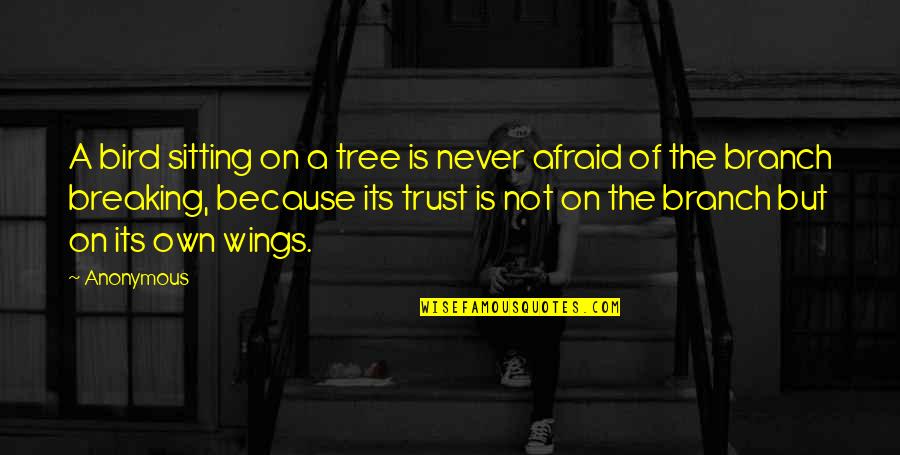 Sitting In A Tree Quotes By Anonymous: A bird sitting on a tree is never