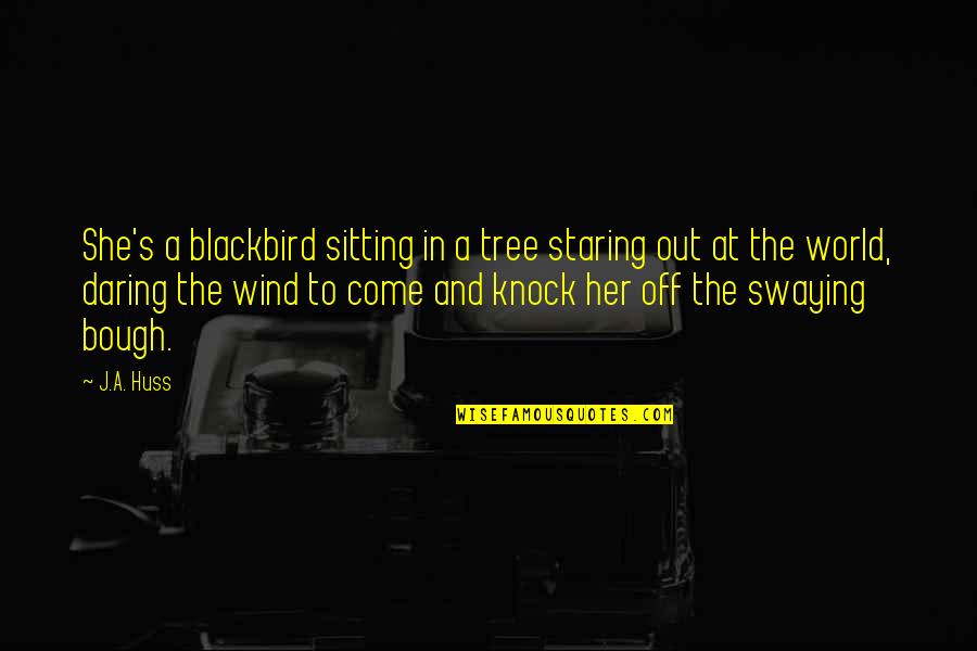 Sitting In A Tree Quotes By J.A. Huss: She's a blackbird sitting in a tree staring