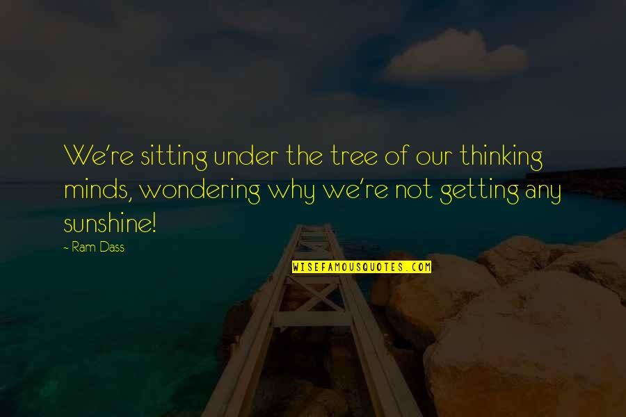 Sitting In A Tree Quotes By Ram Dass: We're sitting under the tree of our thinking