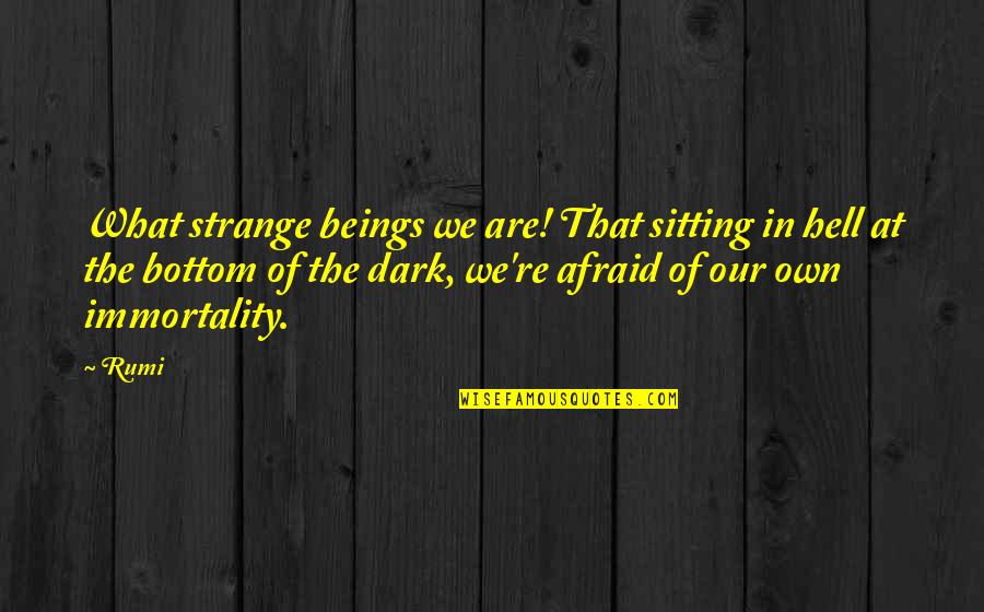Sitting In The Dark Quotes By Rumi: What strange beings we are! That sitting in