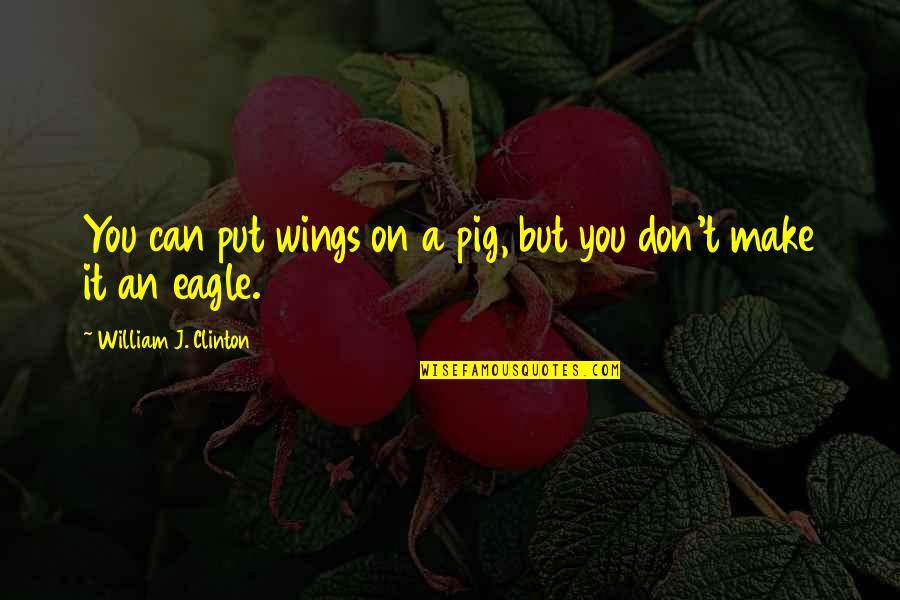 Sitting On The Toilet Quotes By William J. Clinton: You can put wings on a pig, but Sitting On The Toilet Quotes By William J. Clinton: You can put wings on a pig, but