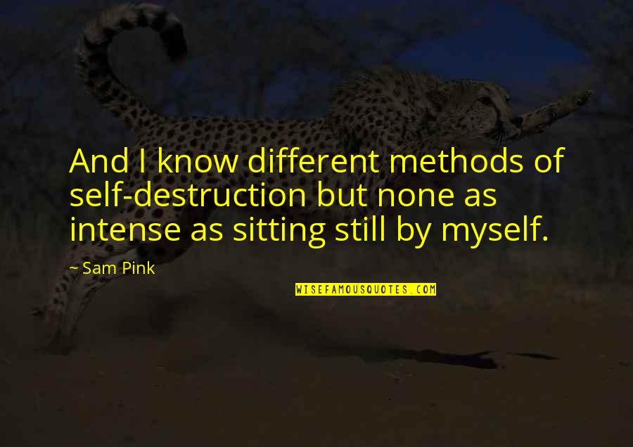 Sitting Still Quotes By Sam Pink: And I know different methods of self-destruction but