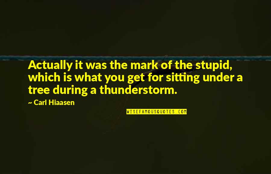 Sitting Under A Tree Quotes By Carl Hiaasen: Actually it was the mark of the stupid,