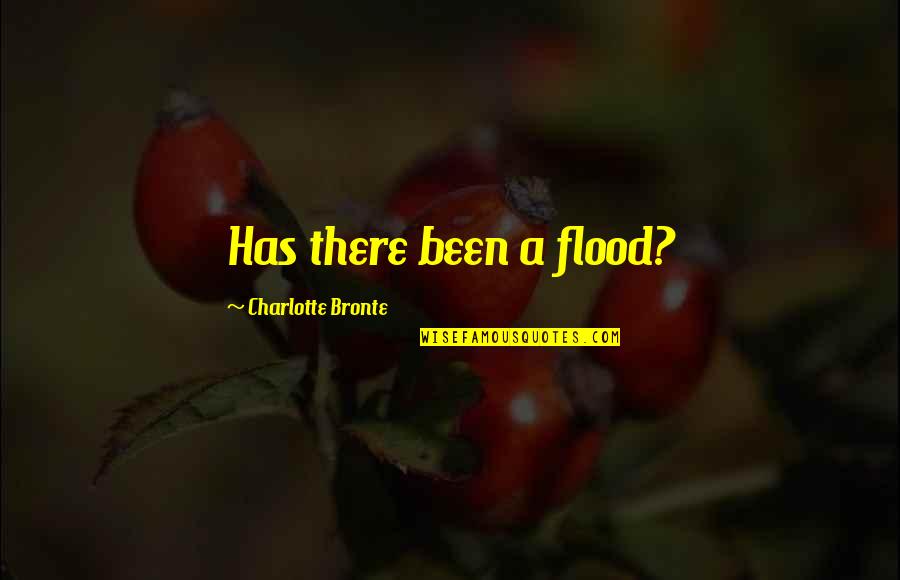 Situaao Quotes By Charlotte Bronte: Has there been a flood?