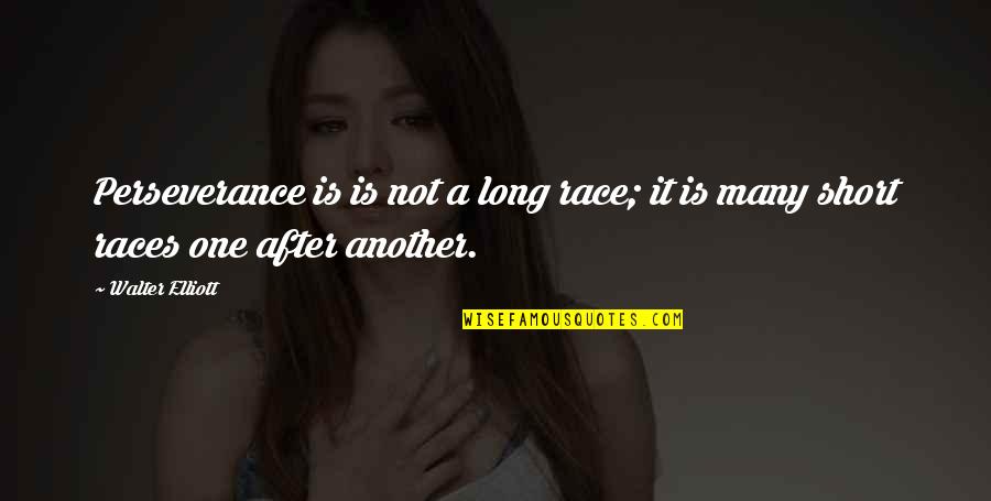 Situace D1 Quotes By Walter Elliott: Perseverance is is not a long race; it