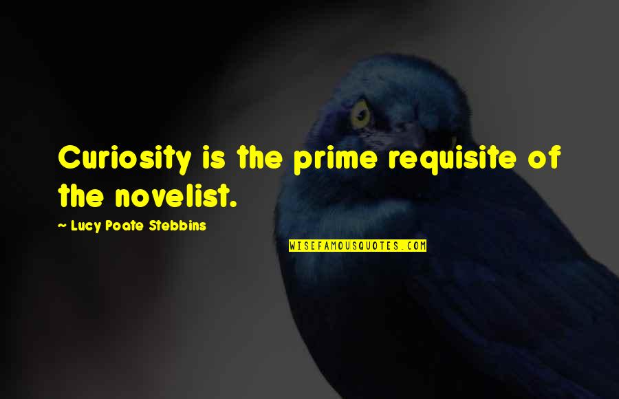 Situacion Economica Quotes By Lucy Poate Stebbins: Curiosity is the prime requisite of the novelist.