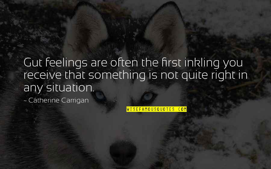 Situation Quotes And Quotes By Catherine Carrigan: Gut feelings are often the first inkling you