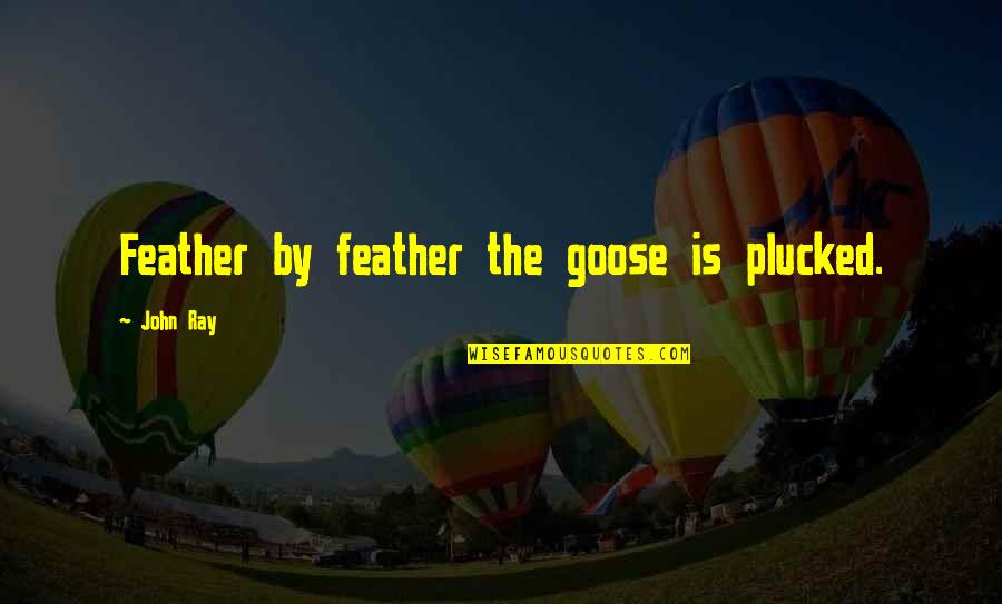 Situations Out Of Your Control Quotes By John Ray: Feather by feather the goose is plucked.