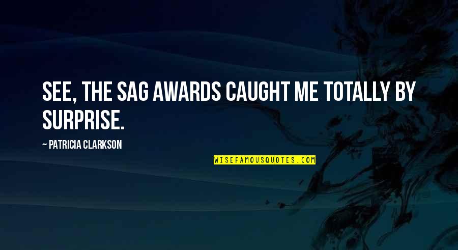 Sitzen Pr Teritum Quotes By Patricia Clarkson: See, the SAG awards caught me totally by Sitzen Pr Teritum Quotes By Patricia Clarkson: See, the SAG awards caught me totally by