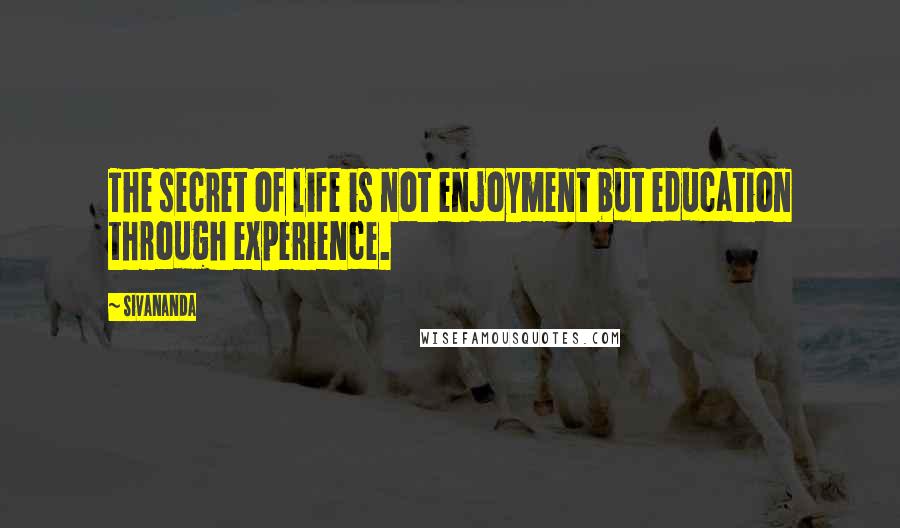 Sivananda quotes: The secret of life is not enjoyment but education through experience.