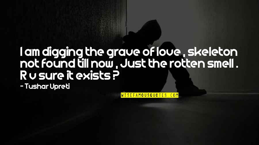 Sivrisinek Ilaci Quotes By Tushar Upreti: I am digging the grave of love ,