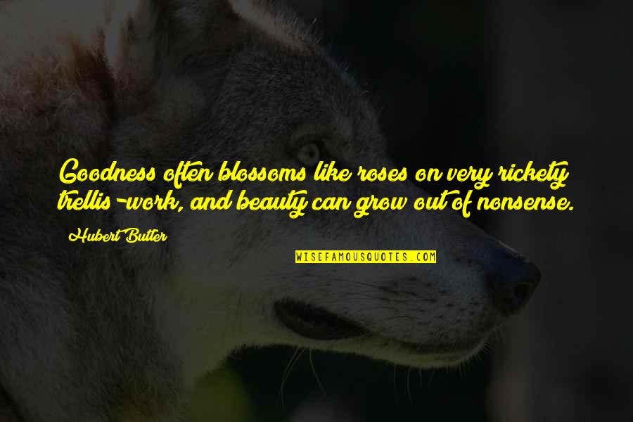 Siwat Chotchaicharin Quotes By Hubert Butler: Goodness often blossoms like roses on very rickety Siwat Chotchaicharin Quotes By Hubert Butler: Goodness often blossoms like roses on very rickety