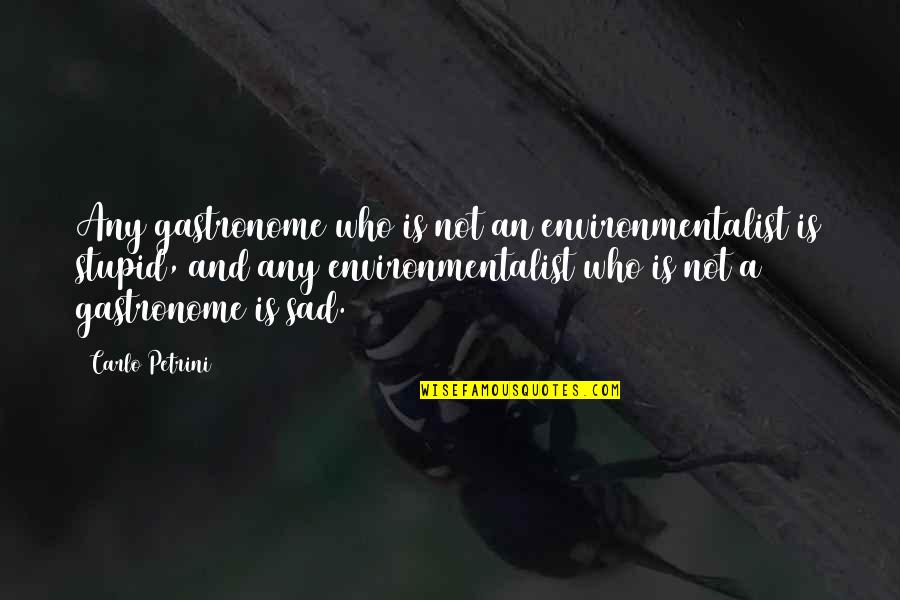 Siwek Plumbing Quotes By Carlo Petrini: Any gastronome who is not an environmentalist is