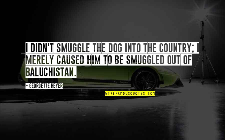 Siwek Plumbing Quotes By Georgette Heyer: I didn't smuggle the dog into the country;