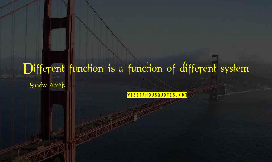 Six Sense Movie Quotes By Sunday Adelaja: Different function is a function of different system
