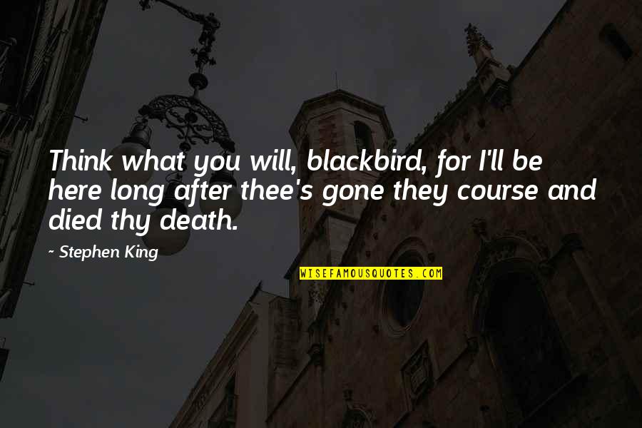 Sixkiller Cemetery Quotes By Stephen King: Think what you will, blackbird, for I'll be