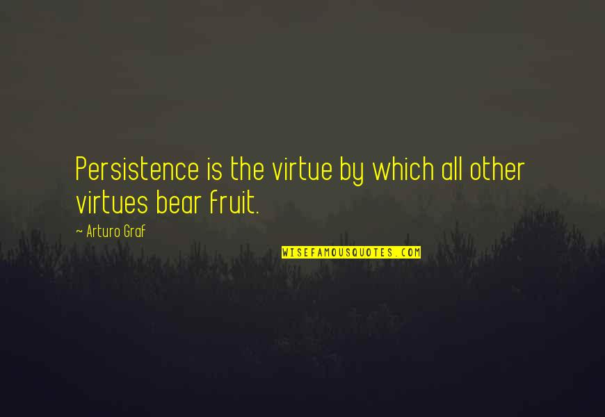 Sixsmith Wayzata Quotes By Arturo Graf: Persistence is the virtue by which all other