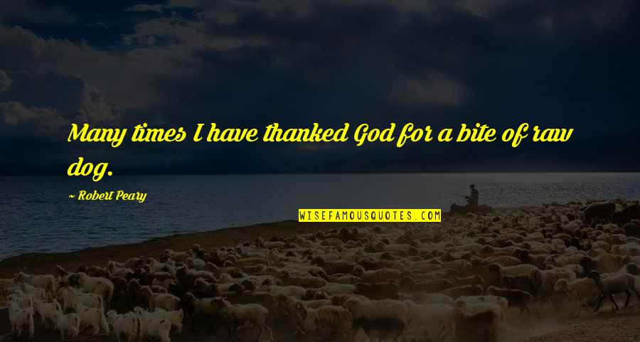 Sixten Korkman Quotes By Robert Peary: Many times I have thanked God for a