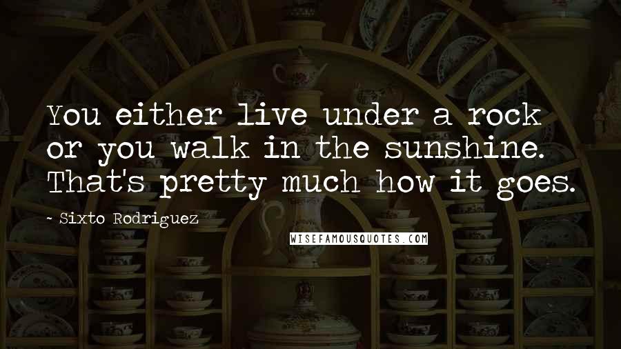 Sixto Rodriguez quotes: You either live under a rock or you walk in the sunshine. That's pretty much how it goes.