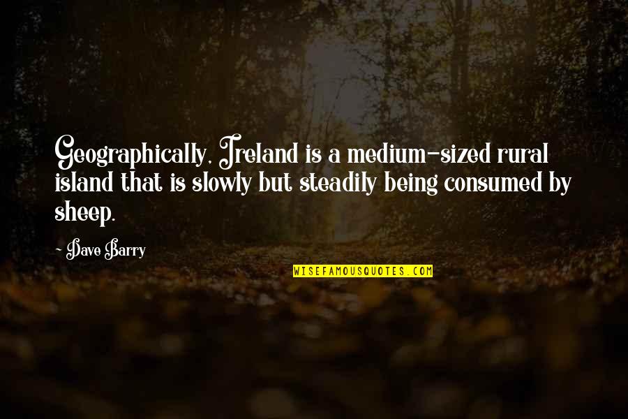 Sized Quotes By Dave Barry: Geographically, Ireland is a medium-sized rural island that