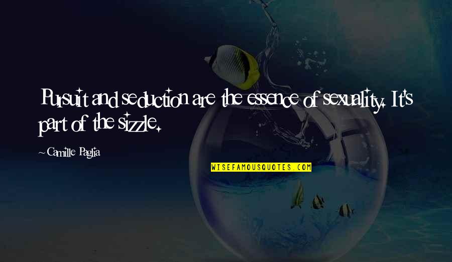 Sizzle Quotes By Camille Paglia: Pursuit and seduction are the essence of sexuality.