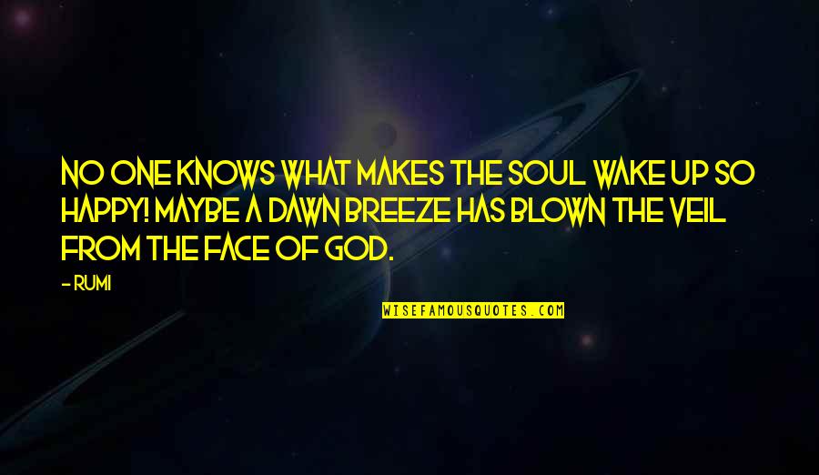 Sj Maas Quotes By Rumi: No one knows what makes the soul wake