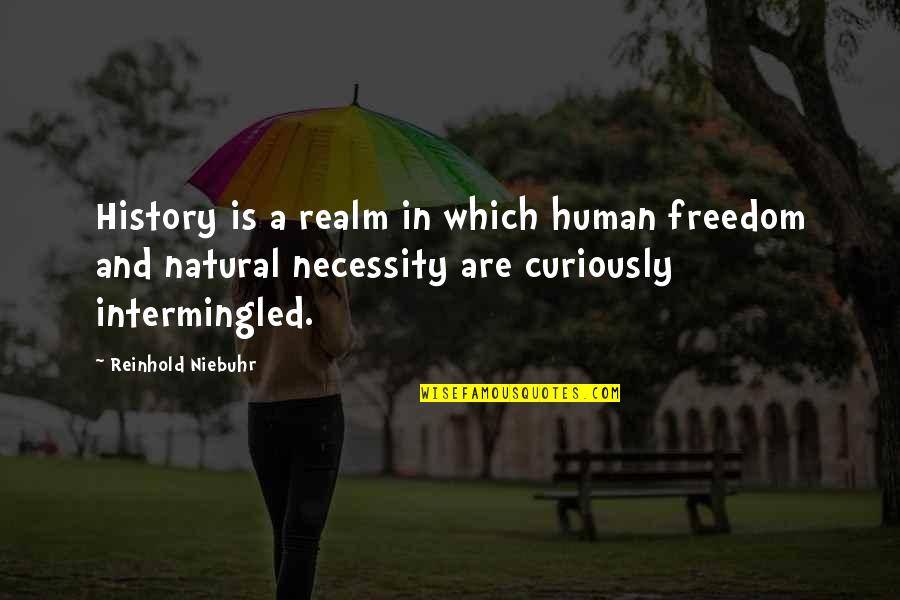 Sjedimo Quotes By Reinhold Niebuhr: History is a realm in which human freedom