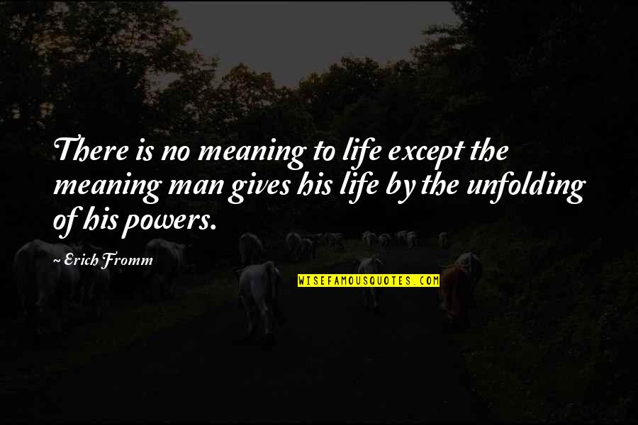 Sjoerdsma Trust Quotes By Erich Fromm: There is no meaning to life except the Sjoerdsma Trust Quotes By Erich Fromm: There is no meaning to life except the