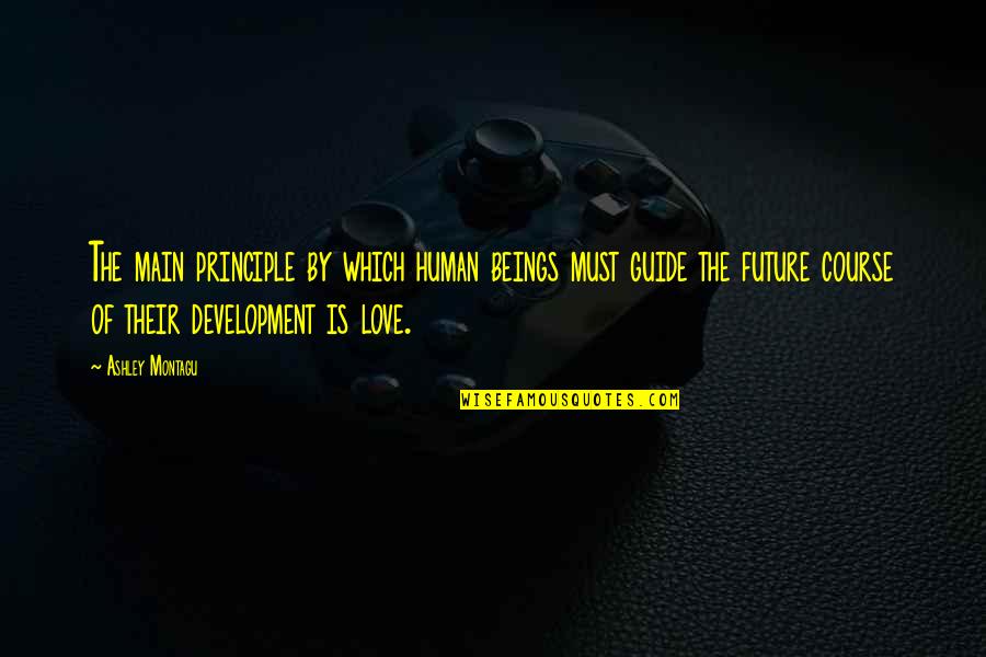 Skabenskabe Quotes By Ashley Montagu: The main principle by which human beings must