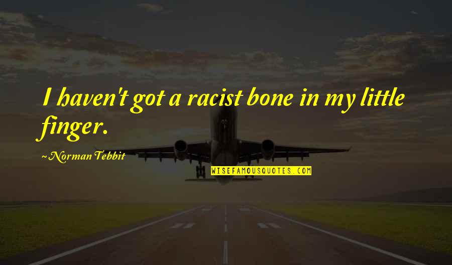 Skaboy Quotes By Norman Tebbit: I haven't got a racist bone in my