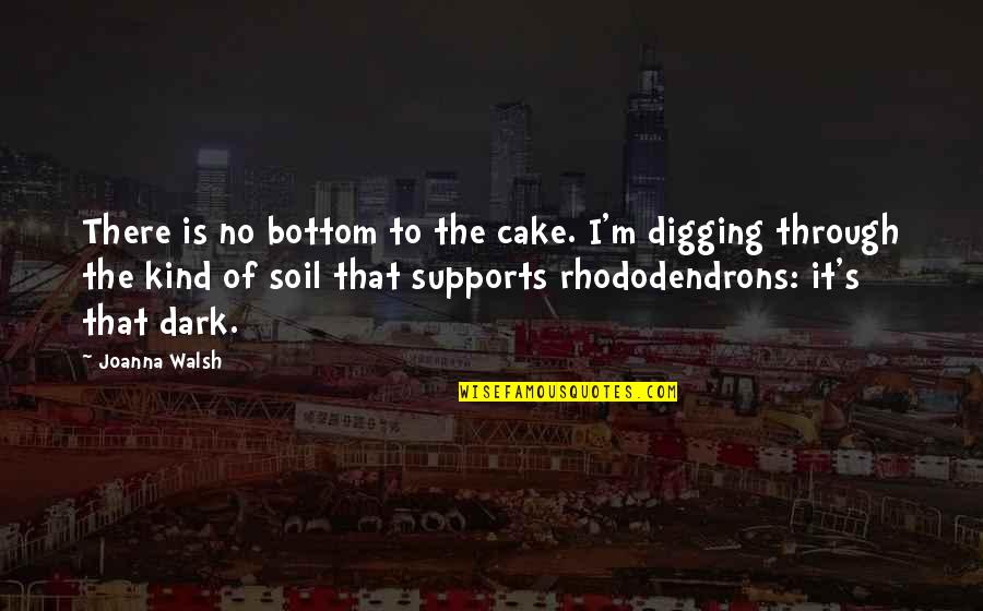 Skagratama Quotes By Joanna Walsh: There is no bottom to the cake. I'm Skagratama Quotes By Joanna Walsh: There is no bottom to the cake. I'm