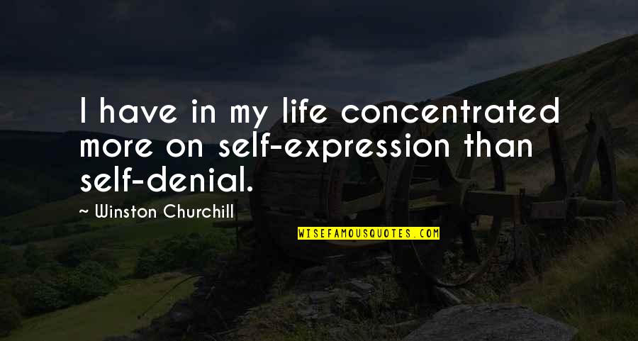 Skamieniali Quotes By Winston Churchill: I have in my life concentrated more on