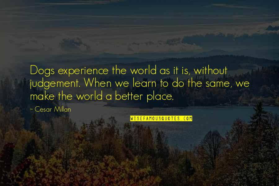 Skarzynskiego 36 Wroclaw Mapa Quotes By Cesar Millan: Dogs experience the world as it is, without Skarzynskiego 36 Wroclaw Mapa Quotes By Cesar Millan: Dogs experience the world as it is, without