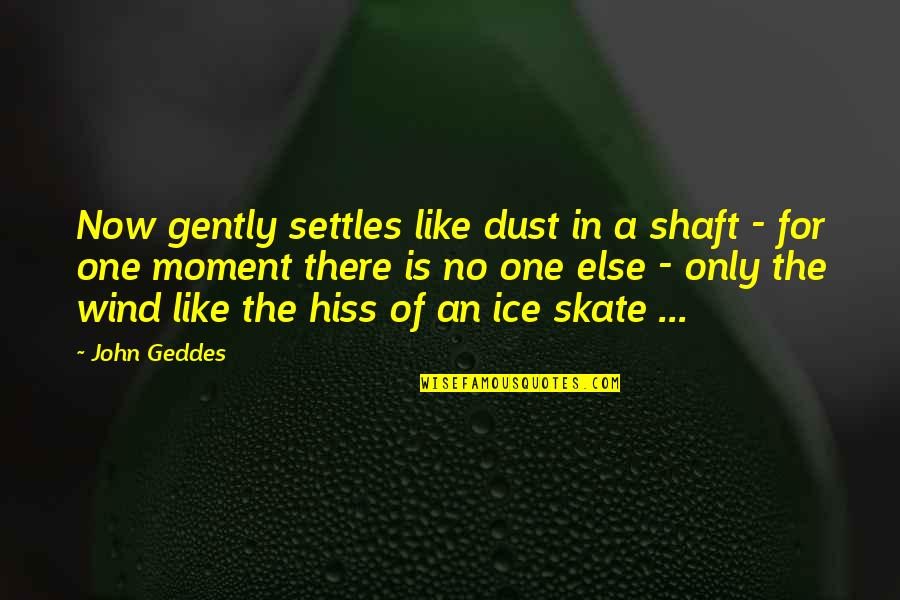 Skate Quotes By John Geddes: Now gently settles like dust in a shaft