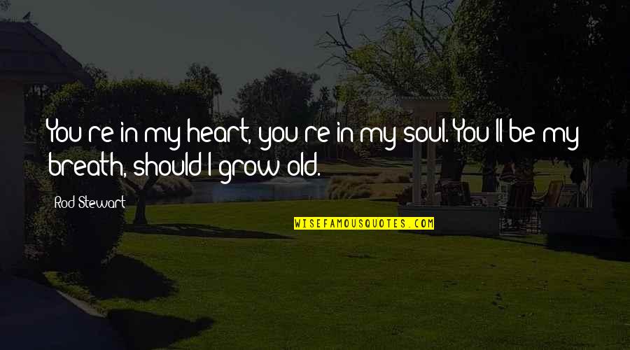 Skateboard Funny Quotes By Rod Stewart: You're in my heart, you're in my soul.
