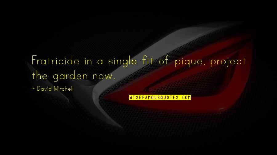 Skaters Quotes By David Mitchell: Fratricide in a single fit of pique, project Skaters Quotes By David Mitchell: Fratricide in a single fit of pique, project