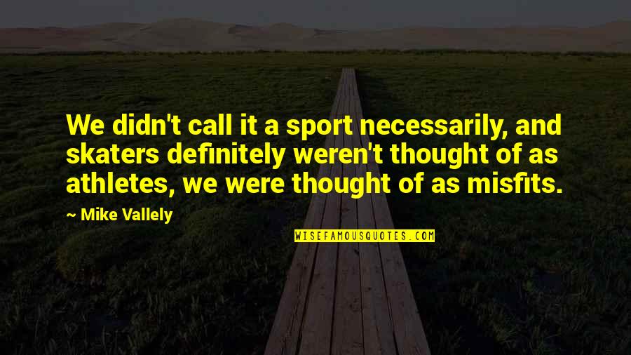 Skaters Quotes By Mike Vallely: We didn't call it a sport necessarily, and Skaters Quotes By Mike Vallely: We didn't call it a sport necessarily, and