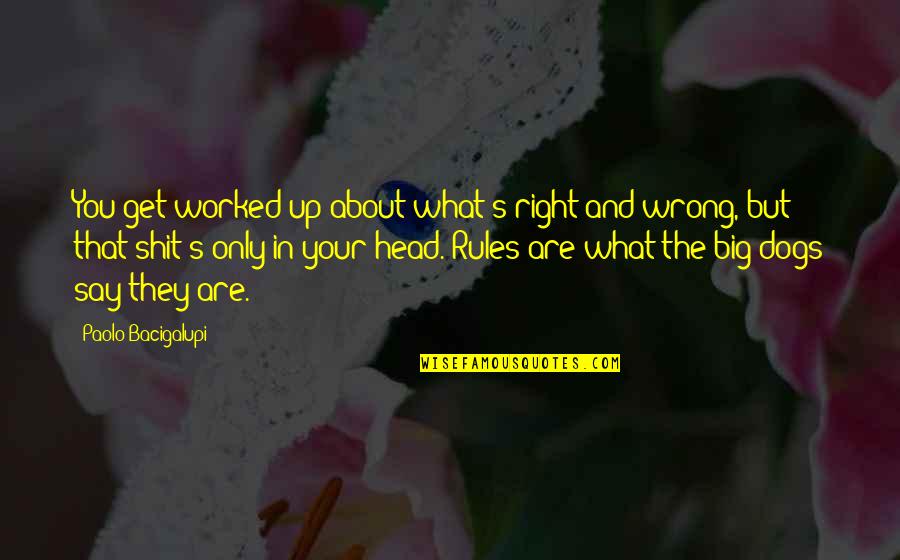 Skeedle Quotes By Paolo Bacigalupi: You get worked up about what's right and Skeedle Quotes By Paolo Bacigalupi: You get worked up about what's right and